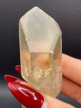 Raised RECORD KEEPER Starbrary Citrine from Brazil