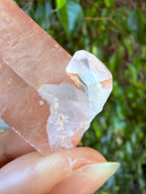 Lotus Quartz 4: Ally