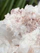 Pink Samadhi Himalayan Quartz Cluster from Pradesh, India