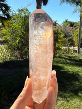 Lotus Quartz 11: Manifestation + Penetrator