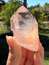 Lotus Quartz 7: ET + Penetrator + Record Keeper