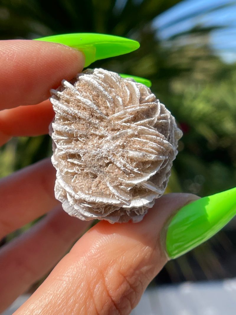 Gypsum Rose, Desert Rose, Desert Selenite, Sand Rose, Natural Crystal, Selenite Gypsum, Gypsum, Desert Rose, Sand Stone, Selenite