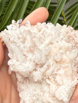 Pink Samadhi Himalayan Quartz Cluster from Pradesh, India