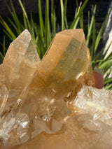 1+lb Smoky/Tangerine Lemurian Cluster: rare Twin Flame + Portal formations
