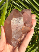 Rare: Triplet DT Scarlet Temple Lemurian cluster from Brazil, Red Lemurian, Lemurian Seed Crystal,Lemurian Cluster,Rare Lemurian,DT Lemurian