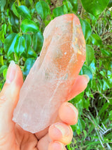 Lotus Quartz 10: Penetrator