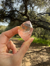 Lotus Quartz 1: Optical Clarity + Dauphine Habit