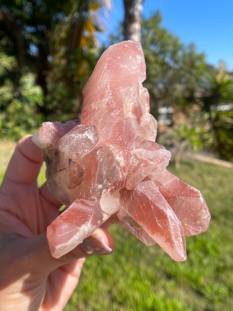 Dreamsicle Scarlet Temple Lemurian Seed Crystal from Brazil, Lemurian Seed Point, Lemurian Seed Crystal, Lemurian Seed Wand,Red Lemurian