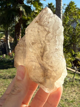 Skeletal Smoky Elestial Quartz from Brazil