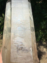 6" Extreme grade Natural CITRINE Lemurian Seed Crystal from Minas Gerais, Brazil- Channeler, Starbrary, Laser, Rainbows etc
