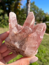 Dreamsicle Scarlet Temple Lemurian Seed Crystal from Brazil, Lemurian Seed Point, Lemurian Seed Crystal, Lemurian Seed Wand,Red Lemurian