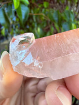 Lotus Quartz 4: Ally