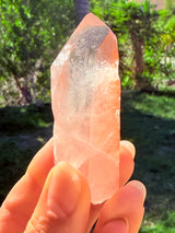 Lotus Quartz 6: Phantom