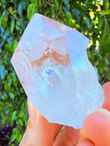 Lotus Quartz 8: Isis + Self Stands