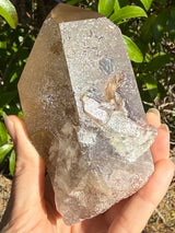 "Rainbow Brite": 5" Sugar Plum Quartz from Goias, Brazil: Rainbows, ET, Ally, Penetrator, Sigils, etc