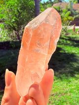 Lotus Quartz 10: Penetrator