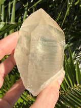 Rare DOW Natural CITRINE Lemurian Seed Crystal from Minas Gerais Brazil