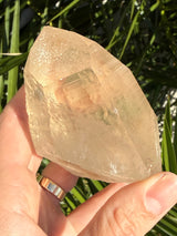 Rare DOW Natural CITRINE Lemurian Seed Crystal from Minas Gerais Brazil