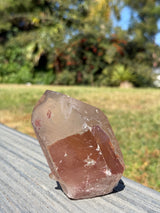 "Rainbow Brite": 5" Sugar Plum Quartz from Goias, Brazil: Rainbows, ET, Ally, Penetrator, Sigils, etc