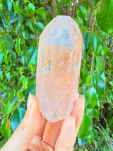 Lotus Quartz 10: Penetrator