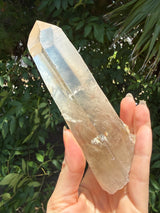 6" Extreme grade Natural CITRINE Lemurian Seed Crystal from Minas Gerais, Brazil- Channeler, Starbrary, Laser, Rainbows etc