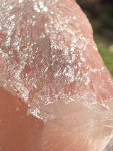 Lotus Quartz 7: ET + Penetrator + Record Keeper