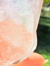 Lotus Quartz 6: Phantom