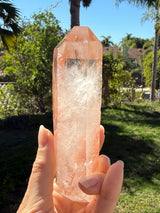 Lotus Quartz 11: Manifestation + Penetrator