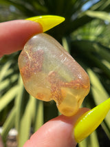 "AQUEOUS": High Grade Amber from Colombia, Colombian Amber, Tumbled Amber, Authentic Amber