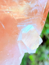 Lotus Quartz 10: Penetrator