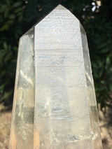 6" Extreme grade Natural CITRINE Lemurian Seed Crystal from Minas Gerais, Brazil- Channeler, Starbrary, Laser, Rainbows etc
