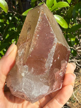 "Rainbow Brite": 5" Sugar Plum Quartz from Goias, Brazil: Rainbows, ET, Ally, Penetrator, Sigils, etc