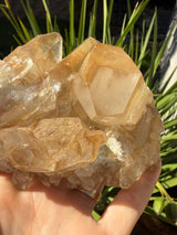 1+lb Smoky/Tangerine Lemurian Cluster: rare Twin Flame + Portal formations