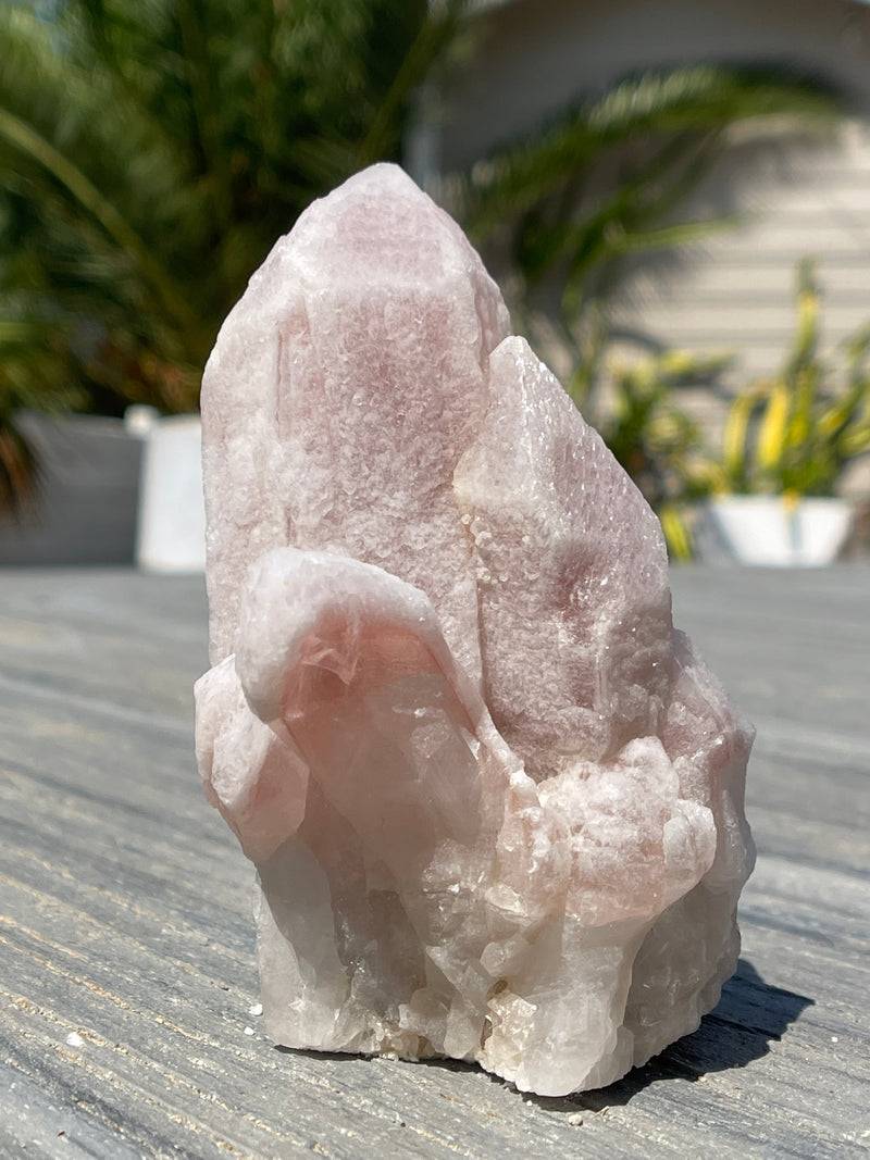 RARE "Dragon Scale" Terminated Pink Dreamsicle Lemurian from Diamantina Brazil, Rare Lemurian, Lemurian Cluster, Pink Lemurian, Dreamsicle