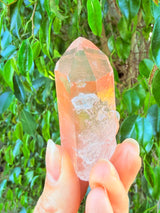 Lotus Quartz 5: Penetrator + Self Stands