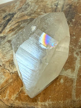 Rare DOW Natural CITRINE Lemurian Seed Crystal from Minas Gerais Brazil