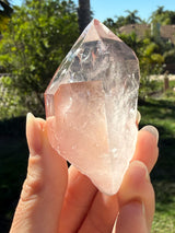 Lotus Quartz 7: ET + Penetrator + Record Keeper