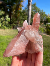 Dreamsicle Scarlet Temple Lemurian Seed Crystal from Brazil, Lemurian Seed Point, Lemurian Seed Crystal, Lemurian Seed Wand,Red Lemurian