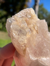 Dreamsicle Scarlet Temple Lemurian Seed Crystal from Brazil, Lemurian Seed Point, Lemurian Seed Crystal, Lemurian Seed Wand,Red Lemurian