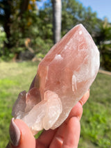 Dreamsicle Scarlet Temple Lemurian Seed Crystal from Brazil, Lemurian Seed Point, Lemurian Seed Crystal, Lemurian Seed Wand,Red Lemurian