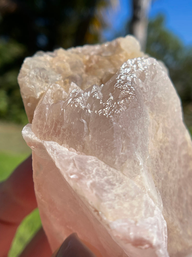 Dreamsicle Scarlet Temple Lemurian Seed Crystal from Brazil, Lemurian Seed Point, Lemurian Seed Crystal, Lemurian Seed Wand,Red Lemurian