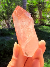 Lotus Quartz 6: Phantom