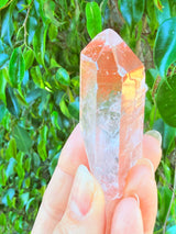 Lotus Quartz 5: Penetrator + Self Stands