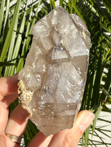 Skeletal Smoky Elestial Quartz from Brazil