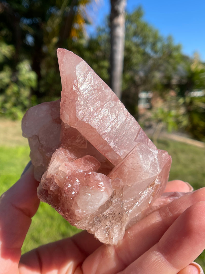 Dreamsicle Scarlet Temple Lemurian Seed Crystal from Brazil, Lemurian Seed Point, Lemurian Seed Crystal, Lemurian Seed Wand,Red Lemurian