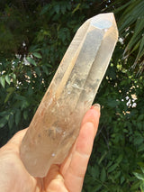 6" Extreme grade Natural CITRINE Lemurian Seed Crystal from Minas Gerais, Brazil- Channeler, Starbrary, Laser, Rainbows etc