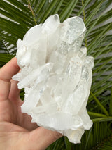 1.25 lb Self Healed Clear Himalayan Quartz Cluster