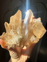 1+lb Smoky/Tangerine Lemurian Cluster: rare Twin Flame + Portal formations
