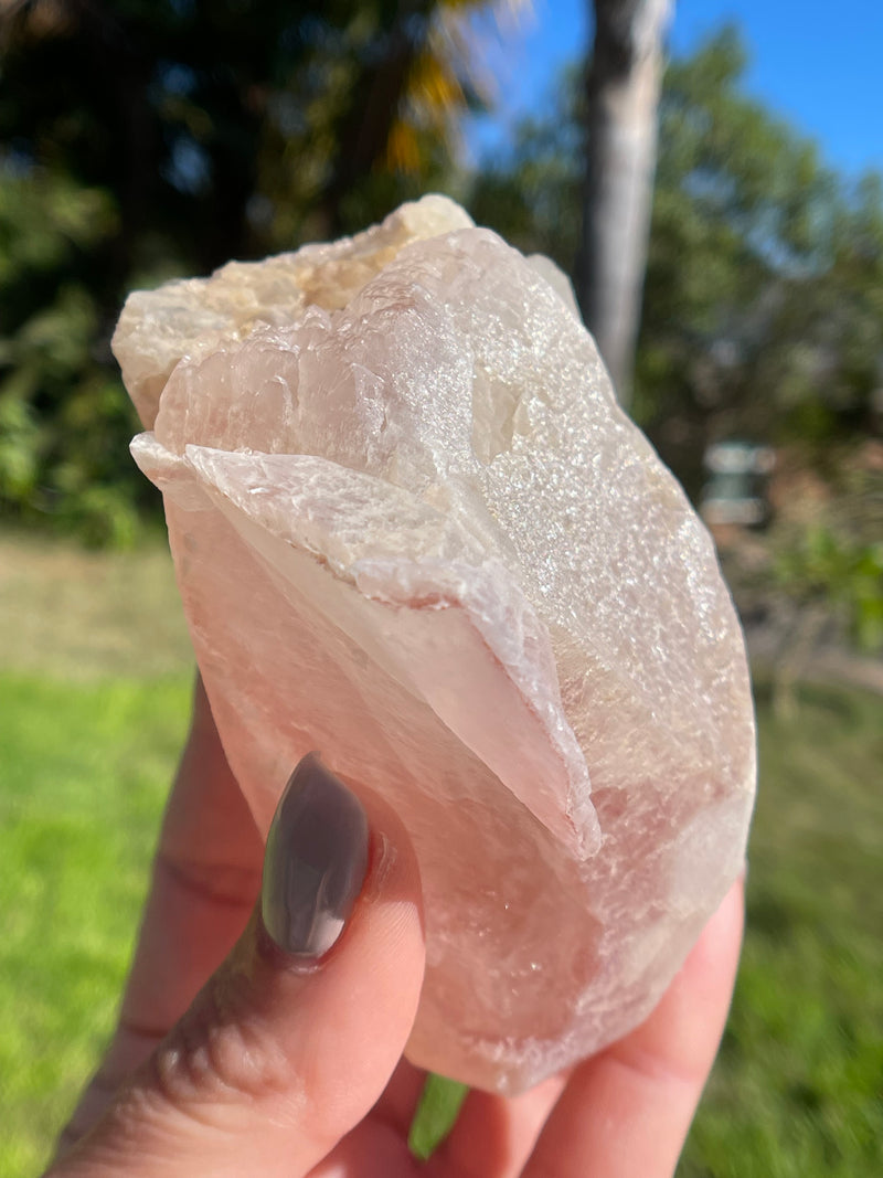 Dreamsicle Scarlet Temple Lemurian Seed Crystal from Brazil, Lemurian Seed Point, Lemurian Seed Crystal, Lemurian Seed Wand,Red Lemurian