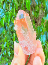 Lotus Quartz 5: Penetrator + Self Stands